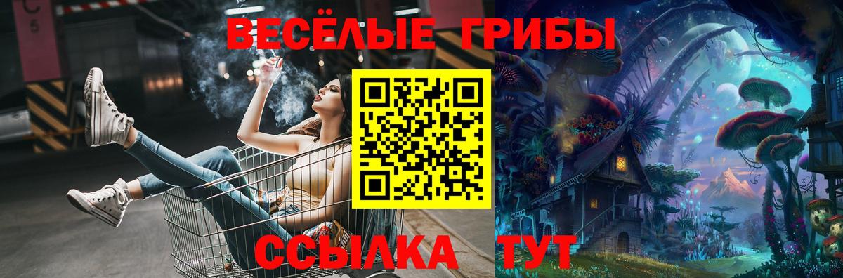 Псилоцибиновые грибы ЛСД  цены наркотик  Отрадный  Вход с VPN 